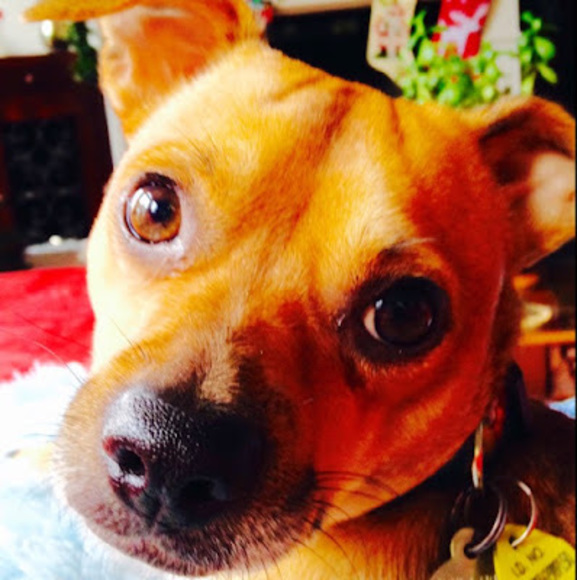 Meet your Posher, Alexis - Picture 1 of 1